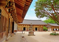 (글보기)Gyeongju in June, the splendid days | Golden City Gyeongju Gyeongju-si, Gyeongju City, Golden City Gyeongju