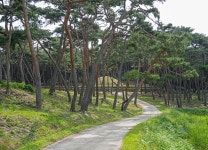 (글보기)Gyeongju in June, lively | Golden City Gyeongju Gyeongju-si, Gyeongju City, Golden City Gyeongju
