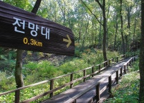 7월 경주, 푸르르다 | 2024년 | 이달의 추천여행지 | 경주 여행 | 경주문화관광 경주문화관광