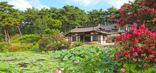 쉼표 하나, 7월 경주 | 2025년 | 이달의 추천여행지 | 경주 여행 | 경주문화관광 경주문화관광