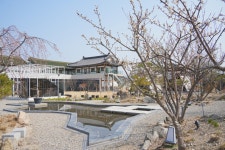 4월 경주, 봄의 완성 | 2026년 | 이달의 추천여행지 | 경주 여행 | 경주문화관광 경주문화관광