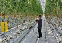 경주시, 청년농업인 임대농장에서 첫 수확… 미래 농업인 육성 박차 | 경주 농축수산 소식 | 스마트그린 경주 | 경주 이음터경주 이음터 경주 이음터