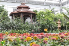 동궁원 - 2017 추석 연휴기간 정상운영 합니다. 경주동궁원