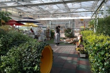 동궁원 - 숨바꼭질 정원 & 일만송이 토마토관 경주동궁원