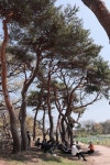 평생학습포털 경주