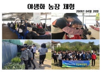 (글보기)야생화만들기 체험 | 활동사진 | 청소년 방과후 아카데미 | 활동ㆍ교육 | 경주시 청소년 수련관 경주청소년수련관