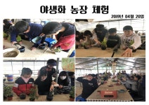 (글보기)야생화만들기 체험 | 활동사진 | 청소년 방과후 아카데미 | 활동ㆍ교육 | 경주시 청소년 수련관 경주청소년수련관