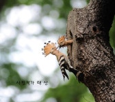 (글보기)황성공원에서 | 포토갤러리 | 시민참여공간 | 시민참여 | 경주시 - Golden City ( Beautiful Gyeongju ) 경주시, 경주시홈페이지