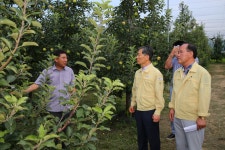 (글보기)경주시 폭염 속 현장점검, 피해 대책 및 현황 살펴 | 경주시정뉴스 - 시정소식 >최신기사