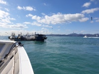 글목록 | 경주시정뉴스 - 시정소식 >많이본기사