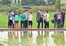 글목록 | 경주시정뉴스 - 시정소식 >많이본기사