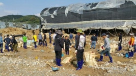 (글보기)경주시 공무원, 태풍피해 복구에 팔 걷어 | 경주시정뉴스 - 시정소식 >생활소식