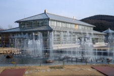 (글보기)경주 동궁원, 봄의 전령사 음악분수 본격 가동 | 경주시정뉴스 - 시정소식 >최신기사