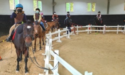 글목록 | 경주시정뉴스 - 시정소식 >많이본기사