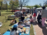 (글보기)경주시 새마을회, 4월 사랑나눔 벼룩장터 성료 | 경주시정뉴스 - 시정소식 >최신기사