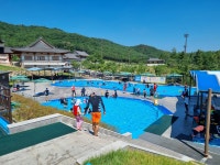 글목록 | 경주시정뉴스 - 시정소식 >많이본기사