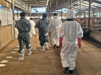 (글보기)경주 21개 천년한우 농장, 신규 HACCP 인증 획득 | 경주시정뉴스 - 시정소식 >최신기사