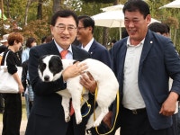 글목록 | 경주시정뉴스 - 시정소식 >생활소식