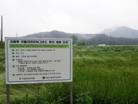 (글보기)경주시, 기후변화 대응 신품종 사료작물 종자 농가 보급 각광 | 경주시정뉴스 - 시정소식 >최신기사