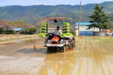 글목록 | 경주시정뉴스 - 시정소식 >많이본기사