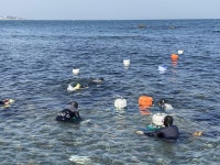 (글보기)경주시, 청정 동해에 어린 전복 방류해 | 경주시정뉴스 - 시정소식 >최신기사