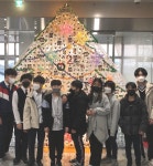 (글보기)안강청소년문화의집 청소년방과후아카데미, 폐자원 활용해 대형 크리스마스 트리 만들어 | 경주시정뉴스 - 시정소식 >최신기사