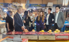 글목록 | 경주시정뉴스 - 포토뉴스 >포토뉴스