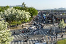 글목록 | 경주시정뉴스 - 포토뉴스 >포토뉴스