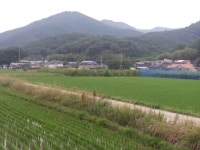 (글보기)현곡면 가정1리, 지역 마을공동체 사업 진행 착착 | 경주시정뉴스 - 읍면동소식 >읍면동소식
