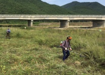 (글보기)산내면, 귀성객 맞이 동창천 일대 환경정비 | 경주시정뉴스 - 시정소식 >최신기사