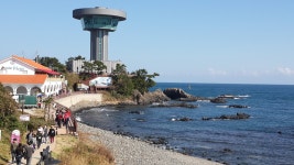 (글보기)양남면, 제2회 양남주상절리 한마음축제 개최 | 경주시정뉴스 - 읍면동소식 >읍면동소식