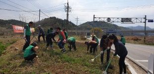 (글보기)내남면 새마을협의회·부녀회, 아름다운 내남 만들기 앞장 | 경주시정뉴스 - 읍면동소식 >읍면동소식