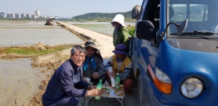 (글보기)현곡면, 모내기 영농 현장 찾아 농민 격려 | 경주시정뉴스 - 읍면동소식 >읍면동소식