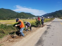 (글보기)일 년에 두 번 꽃 피우는 칠자화와 함께 산내면 가로수길 걸어요 | 경주시정뉴스 - 읍면동소식 >읍면동소식