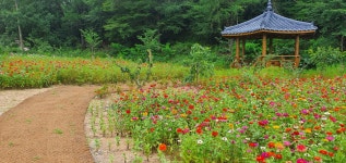 (글보기)월성동 지역공동체, 명활성 입구 꽃단지 조성 | 경주시정뉴스 - 시정소식 >최신기사