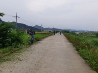 (글보기)선도동, 도로변 정비 및 제초작업 실시 | 경주시정뉴스 - 읍면동소식 >읍면동소식