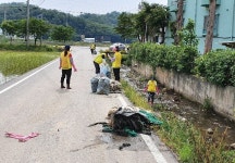 글목록 | 경주시정뉴스 - 읍면동소식 >읍면동소식