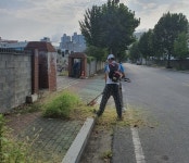 (글보기)황성동 체육회, 유림로 풀베기 및 환경정비실시 | 경주시정뉴스 - 시정소식 >최신기사