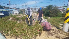 (글보기)외동읍 냉천2리 새터마을 게릴라가든 조성 | 경주시정뉴스 - 시정소식 >최신기사