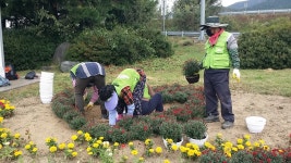 글목록 | 경주시정뉴스 - 읍면동소식 >읍면동소식