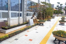 (글보기)건천읍, 대대적인 도시미관 및 시설 점검으로 활기찬 봄 맞는다 | 경주시정뉴스 - 시정소식 >최신기사