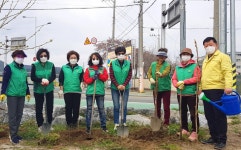 (글보기)안강읍새마을부녀회, 왕벚꽃나무 조성으로 안강청소년문화의집에 봄을 심다 | 경주시정뉴스 - 시정소식 >최신기사