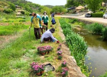 글목록 | 경주시정뉴스 - 시정소식 >많이본기사