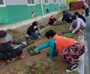 (글보기)계절의 여왕 5월 맞아 경주시 강동면 모서1리 주민들이 함께 마을 꽃 단장 나서 | 경주시정뉴스 - 시정소식 >최신기사