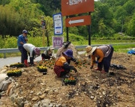 (글보기)경주시 문무대왕면, 주민들과 함께하는 꽃마을 조성 | 경주시정뉴스 - 시정소식 >최신기사