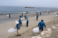(글보기)경주 문무대왕면, 봉길대왕암 해변 환경정화 활동 실시 | 경주시정뉴스 - 시정소식 >최신기사