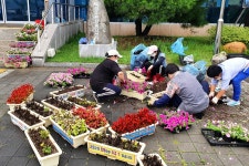 (글보기)북경주행정복지센터, 연분홍 여름 꽃으로 물들다 | 경주시정뉴스 - 읍면동소식 >읍면동소식