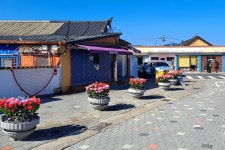 (글보기)경주시 황남동, 황리단길 LED 장미 양심화분 조성… 이색적인 볼거리 제공 | 경주시정뉴스 - 시정소식 >최신기사