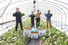 글목록 | 경주시정뉴스 - 시정소식 >최신기사