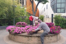 글목록 | 경주시정뉴스 - 시정소식 >많이본기사